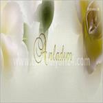 AnLaDIM