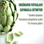 Karaciğer ve kalbin en iyi dostu, Dahası....