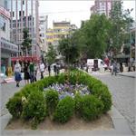 RİZE